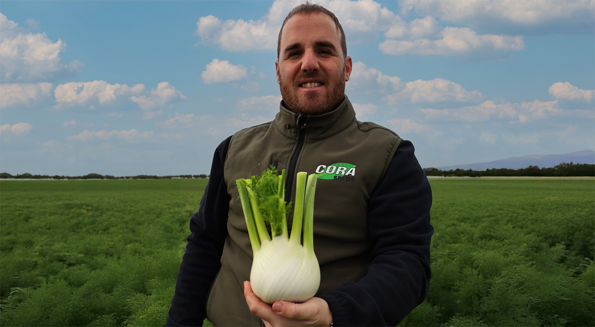 Antonio Antonacci, product manager finocchio di Cora Seeds
